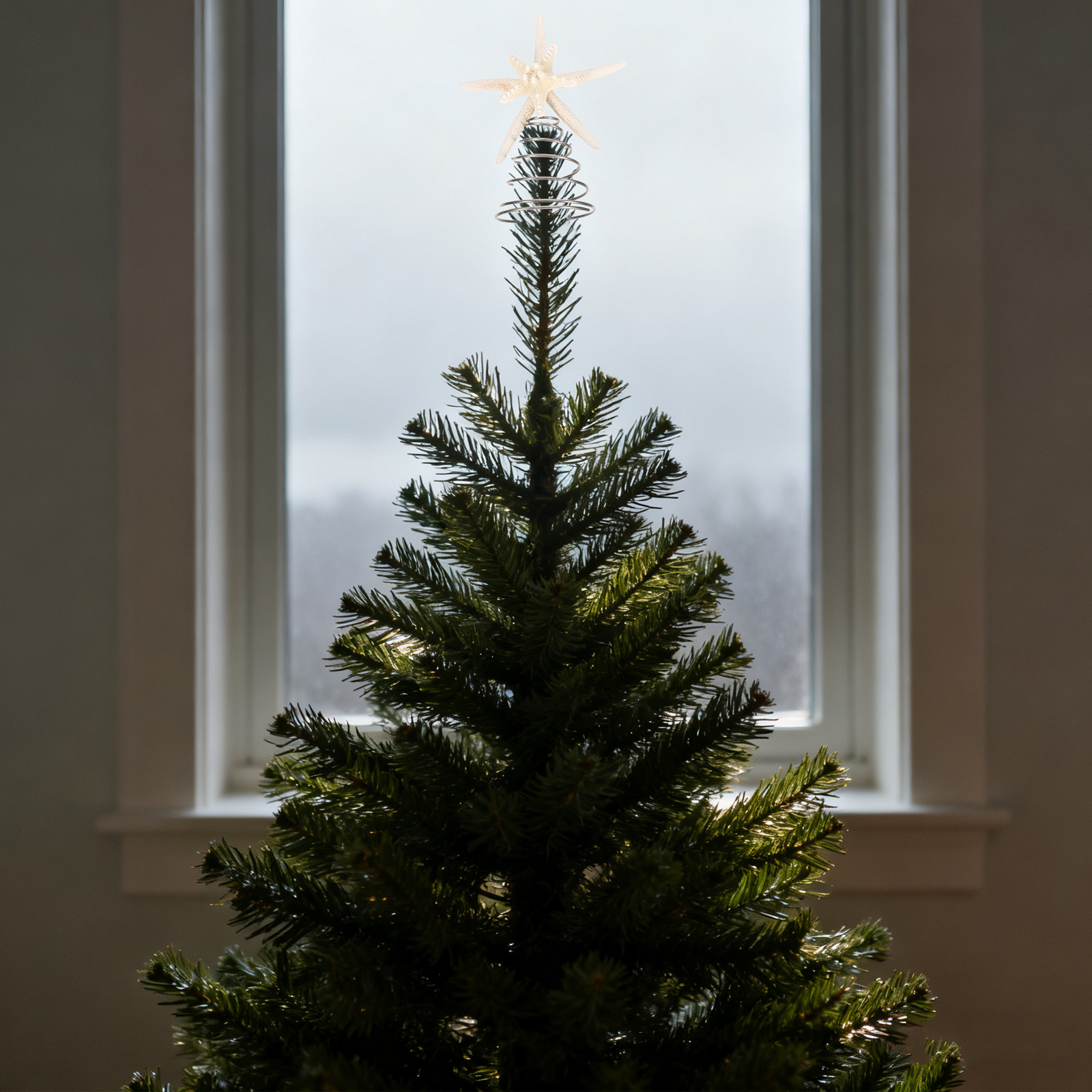 Star Tree Topper - Coastal Christmas Tree Topper Sea Wire